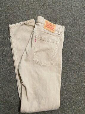Levi's Men Beige Straight Jeans